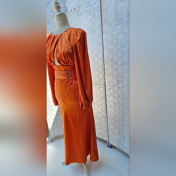 PETAL AND PUP MIDI DRESS - Picture 5 of 12